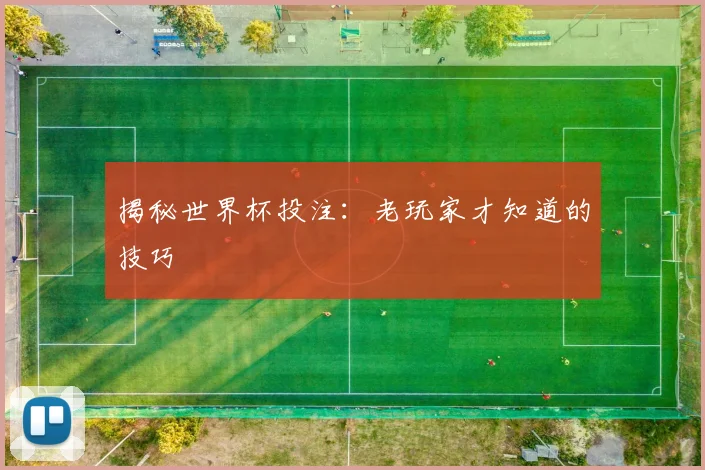 揭秘世界杯投注：老玩家才知道的技巧